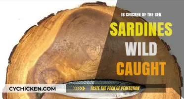 Are Chicken of the Sea Sardines Wild Caught? Unveiling the Truth