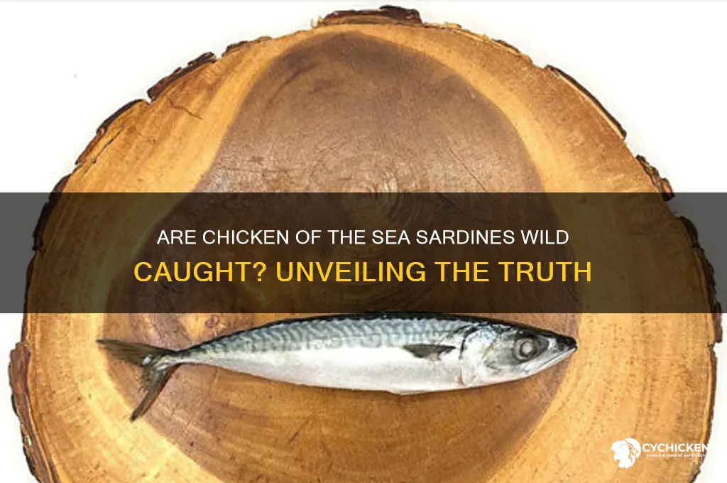 is chicken of the sea sardines wild caught