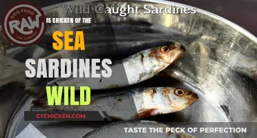 Are Chicken of the Sea Sardines Truly Wild-Caught?