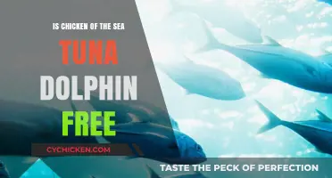 Is Chicken of the Sea Tuna Dolphin-Free? Uncovering Sustainable Practices
