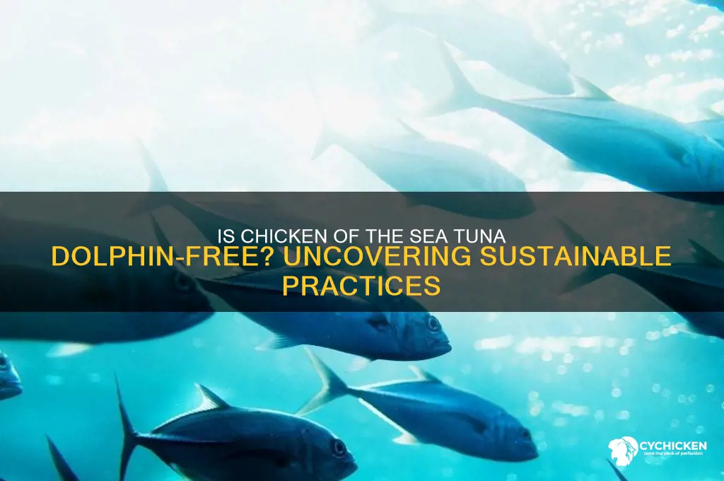 is chicken of the sea tuna dolphin free