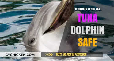 Is Chicken of the Sea Tuna Dolphin-Safe? Uncovering the Truth