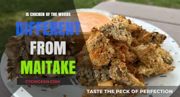 Chicken of the Woods vs. Maitake: Unraveling the Fungal Differences