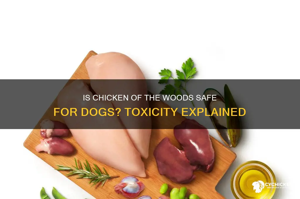 is chicken of the woods poisonous to dogs