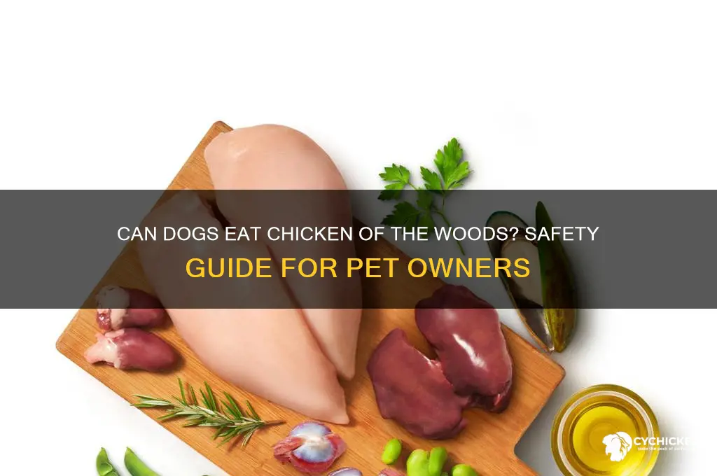 is chicken of the woods safe for dogs