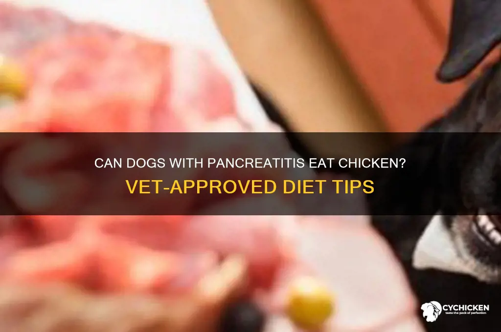 is chicken ok for dogs with pancreatitis