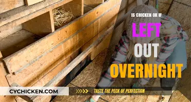 Is Overnight Unrefrigerated Chicken Safe to Eat? Risks Explained