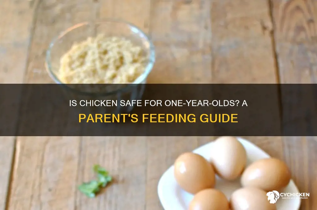 is chicken okay for one year old