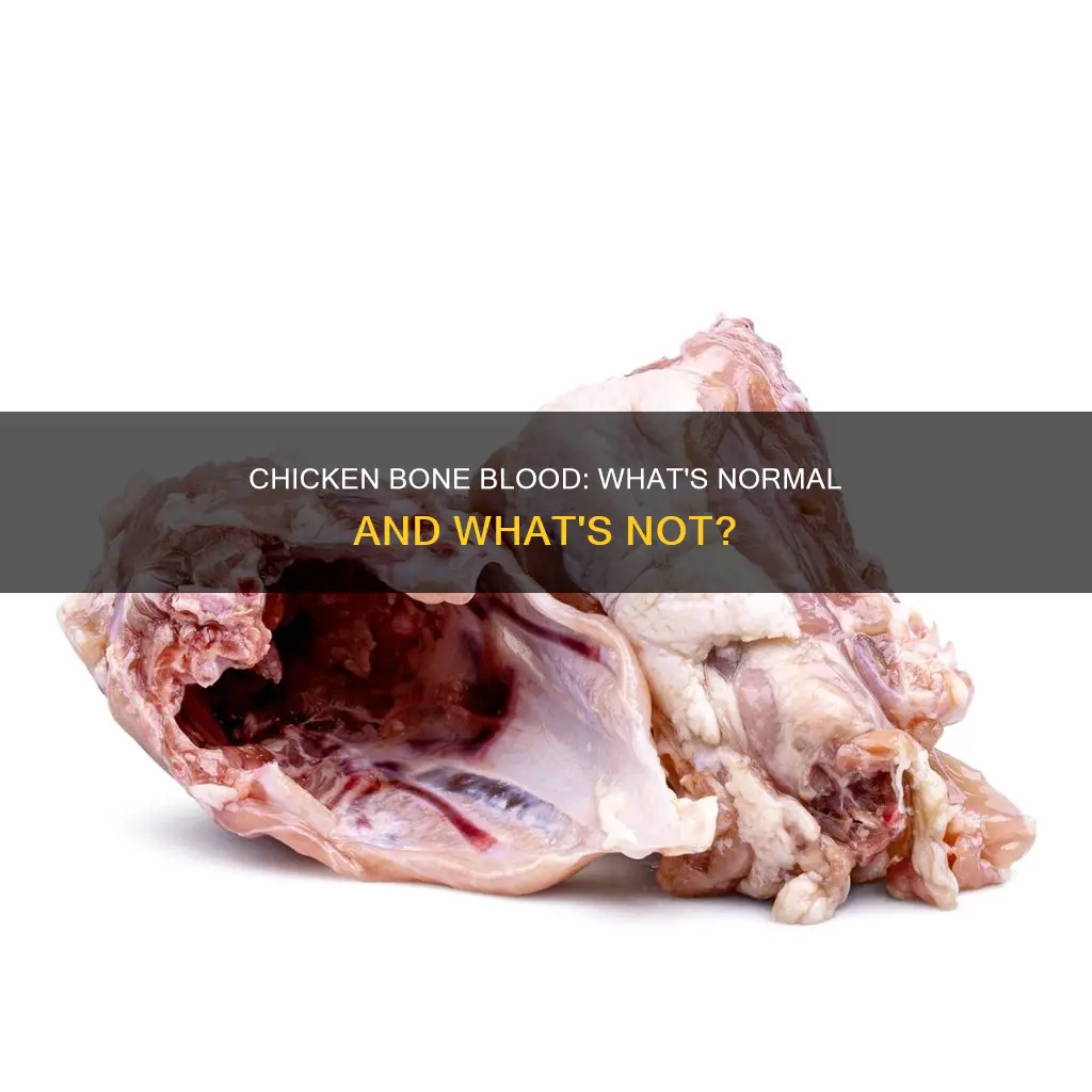 is chicken on the bone supposed to be bloody