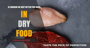 Chicken vs Beef: Which Dry Food is Better for Dogs?