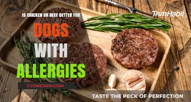 Chicken vs. Beef: Best Meat for Allergic Dogs