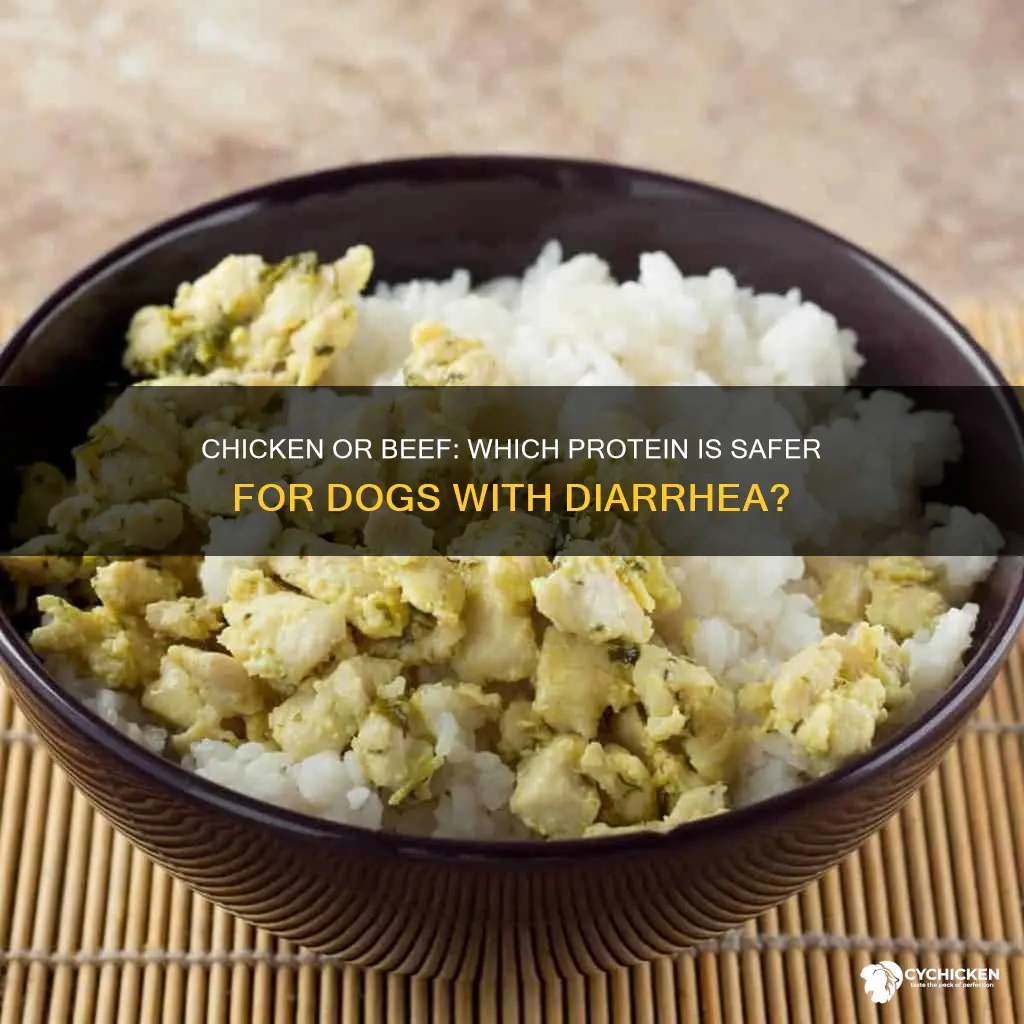 is chicken or beef better for dogs with diarrhea