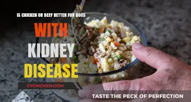 Meat Options for Dogs with Kidney Disease: Chicken or Beef?