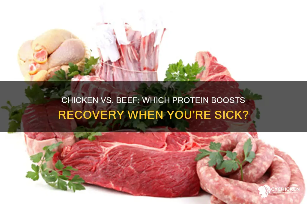 is chicken or beef better when your sick