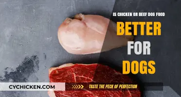 Chicken vs Beef: Which Protein is Better for Dogs?