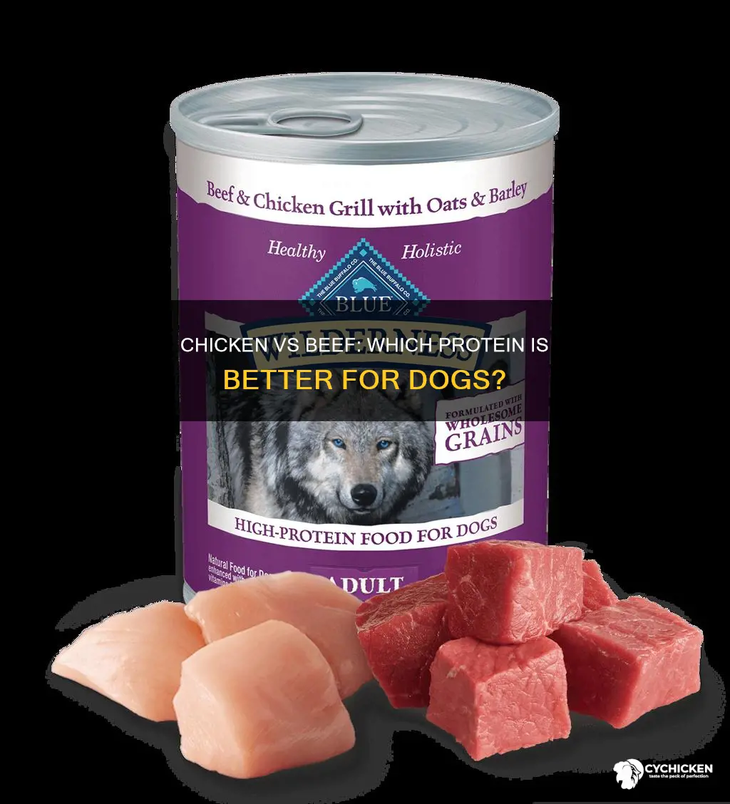 is chicken or beef dog food better for dogs