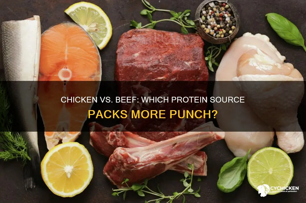 is chicken or beef high in protein