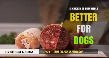 Chicken vs. Beef Kibble: Which is the Best Choice for Dogs?