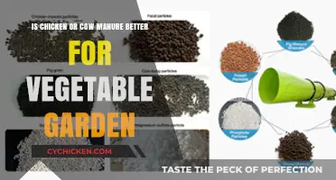 Chicken vs Cow Manure: Which is Best for Vegetable Gardens?