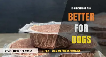 Chicken vs. Fish: Which Protein is Best for Your Dog?