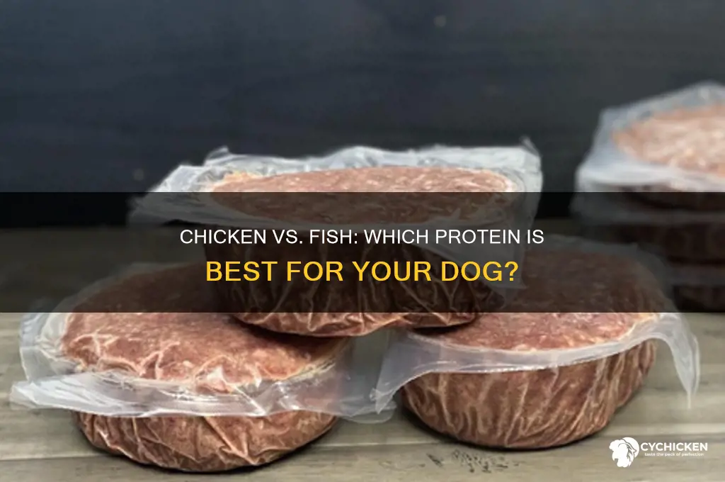 is chicken or fish better for dogs