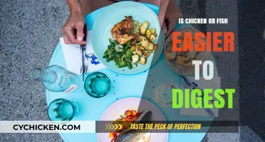 Chicken vs. Fish: Which Protein is Easier on Your Digestive System?