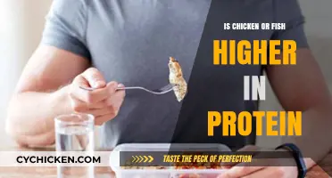 Chicken vs. Fish: Which Protein Source Packs More Punch?