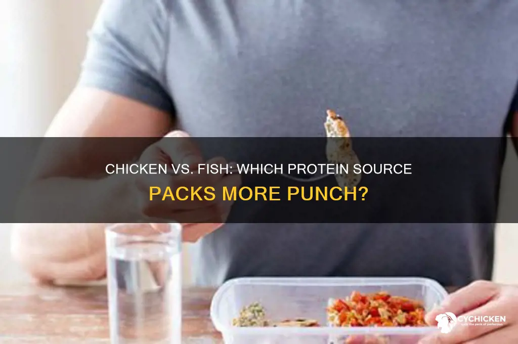 is chicken or fish higher in protein