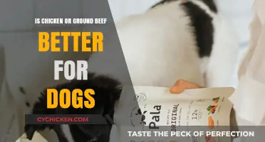 Chicken vs. Ground Beef: Which Protein is Better for Dogs?