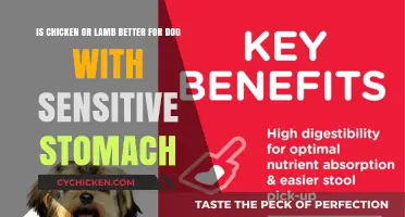 Chicken or Lamb: Which Meat is Best for Sensitive Dogs?