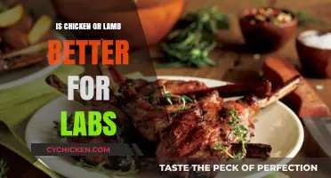 Chicken vs. Lamb: Which Protein Boosts Lab Performance Better?
