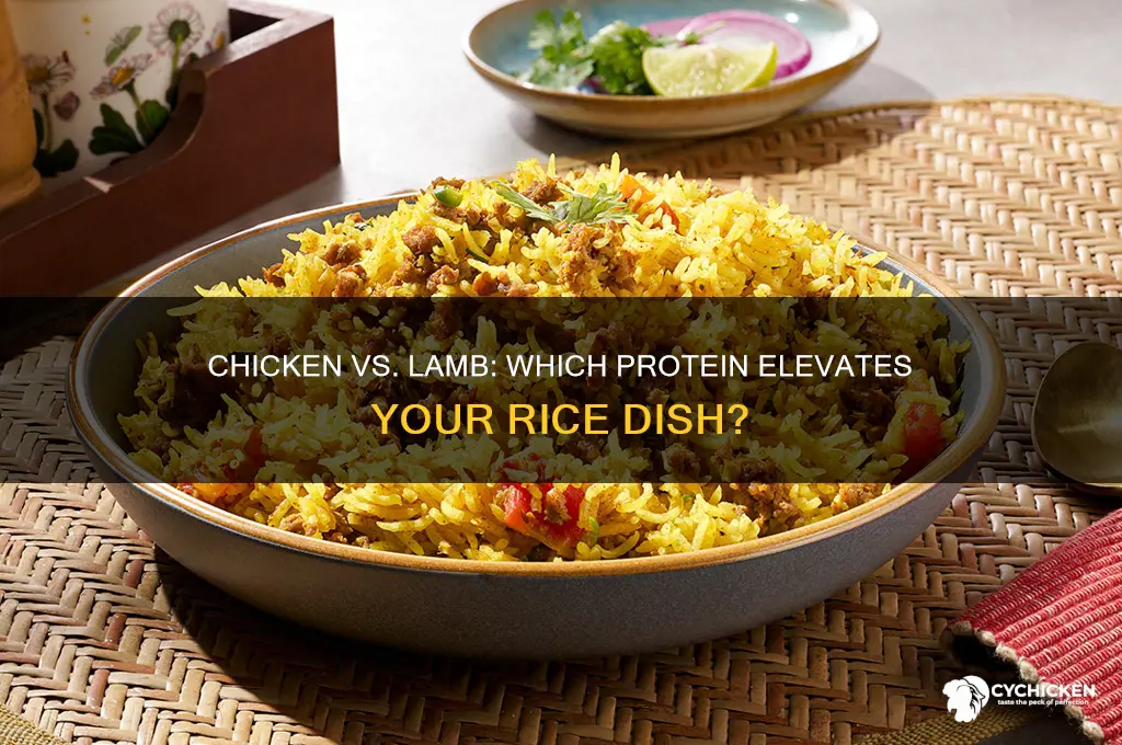 is chicken or lamb better on rice