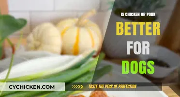 Chicken vs. Pork: Which Protein is Better for Your Dog?