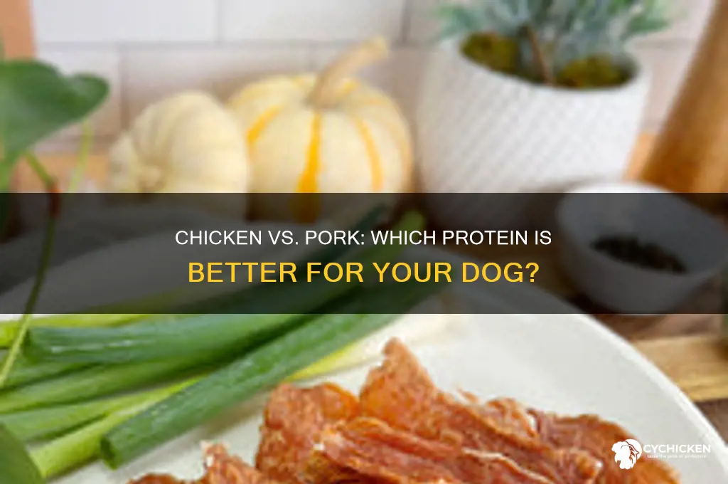 is chicken or pork better for dogs