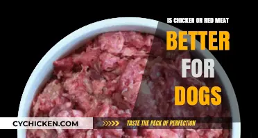 Chicken vs. Red Meat: Which is Healthier for Your Dog?