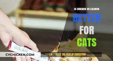 Chicken vs. Salmon: Which Protein is Purr-fect for Your Cat?