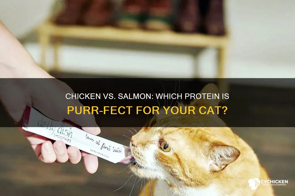 is chicken or salmon better for cats