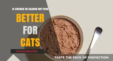 Salmon vs. Chicken: Which Dry Food Benefits Your Cat?