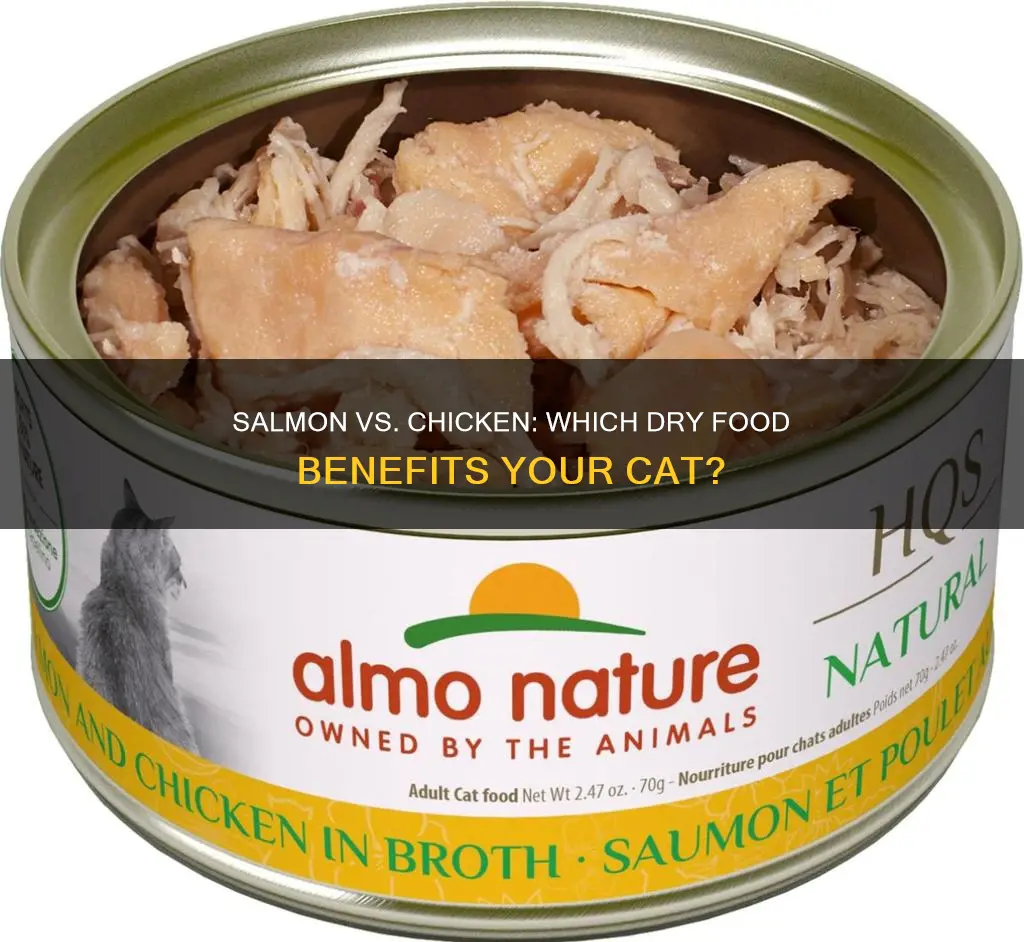is chicken or salmon dry food better for cats