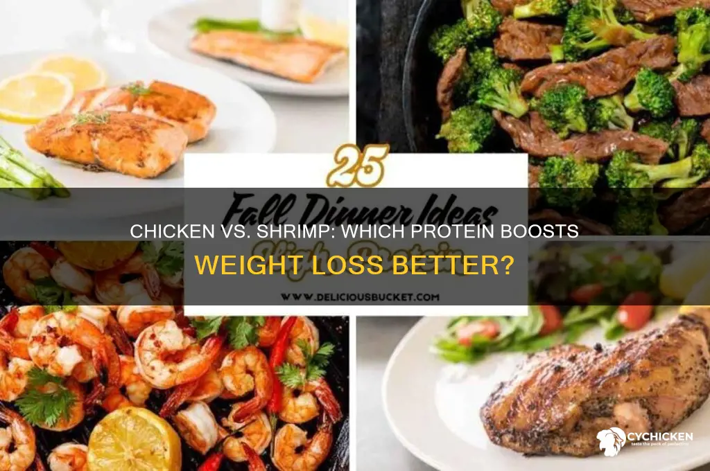 is chicken or shrimp better for weight loss