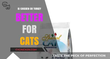 Chicken vs. Turkey: Which Protein is Purr-fect for Your Cat?