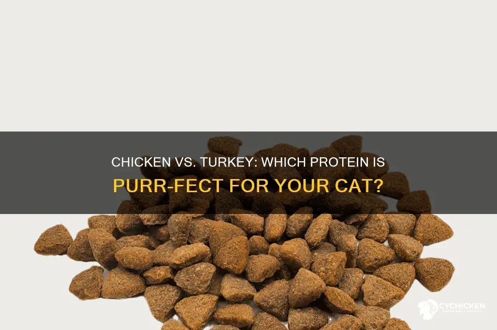 is chicken or turkey better for cats