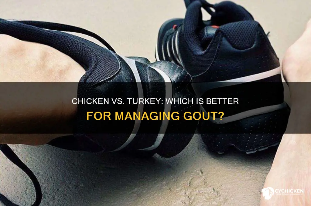 is chicken or turkey better for gout