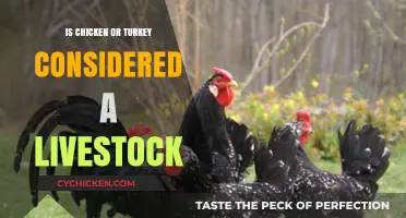 Are Chickens and Turkeys Livestock? Exploring Poultry Classification