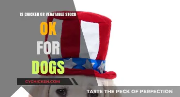 Can Dogs Safely Eat Chicken or Vegetable Stock? Expert Advice