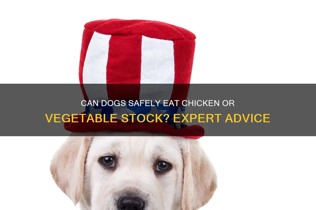 is chicken or vegatable stock ok for dogs