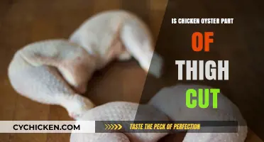 Is Chicken Oyster Part of the Thigh Cut? Unraveling Poultry Anatomy