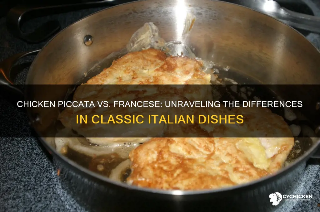 is chicken piccata similar to chicken francese