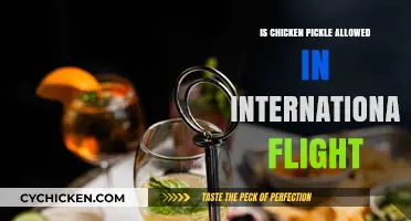 Can You Carry Chicken Pickle on International Flights? Rules Explained