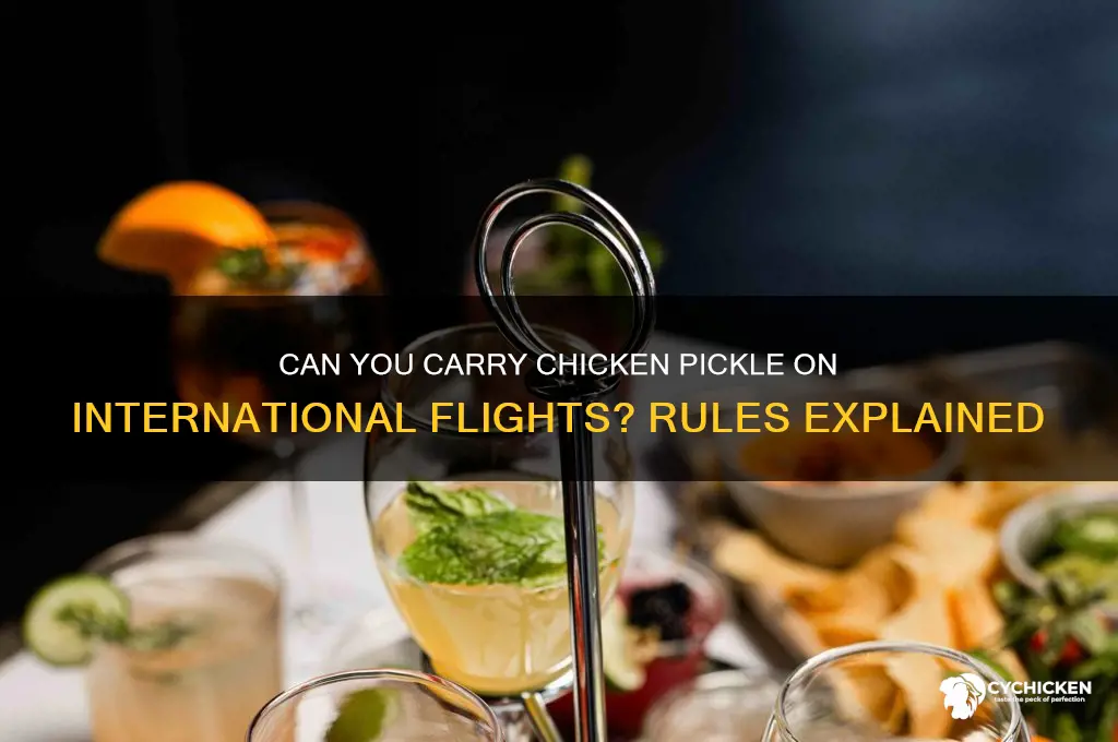 is chicken pickle allowed in international flight